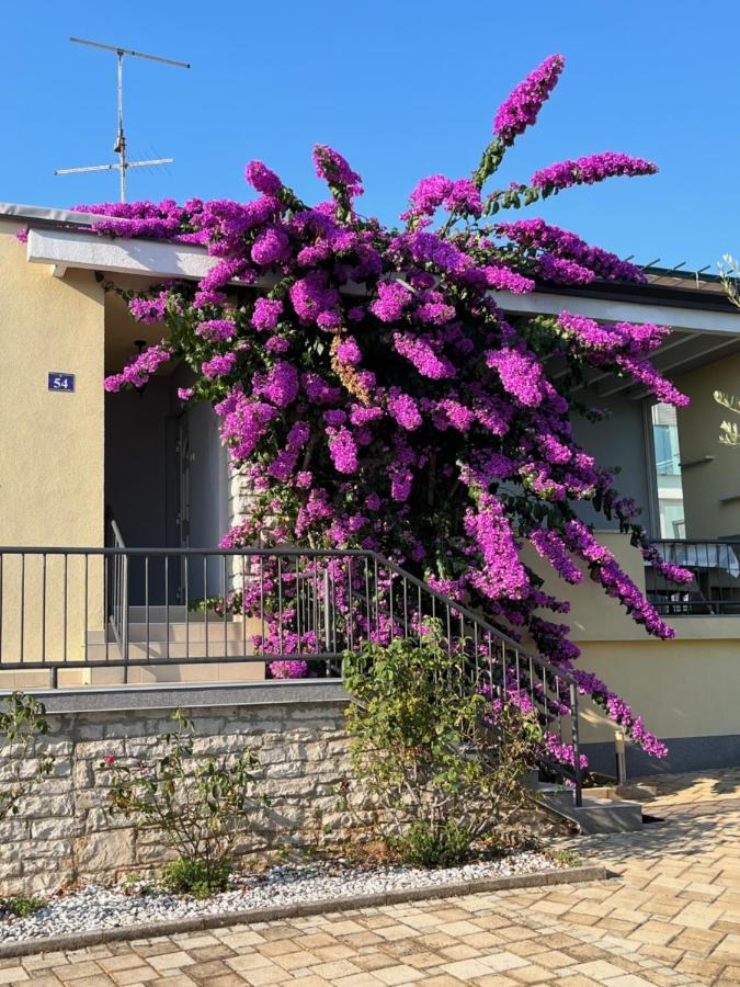 Appartement App Forza à Umag Extérieur photo
